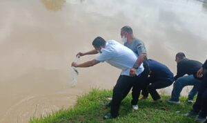 Wabub Bungo Saat lepaskan Bibit Ikan Kesungai